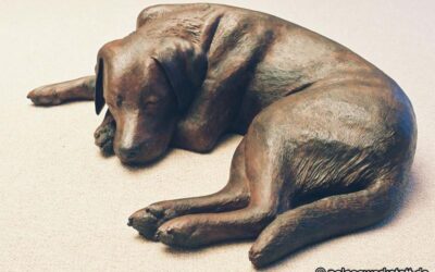 Canis lupus familiaris