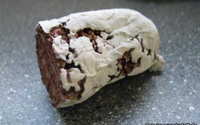 Edelsalami mit Frassspuren von Speckkäfern