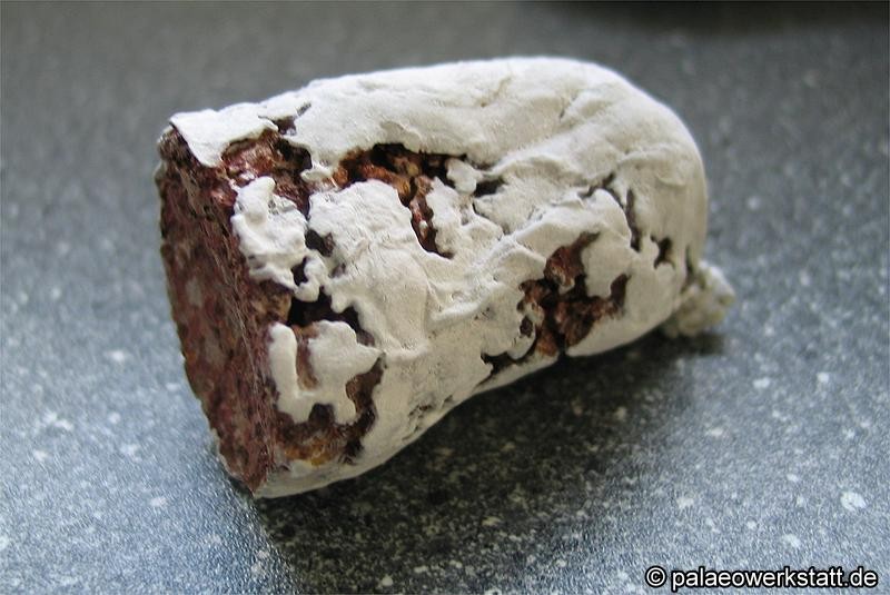 45-2_Salami0249