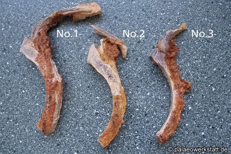 Pork chop leftovers