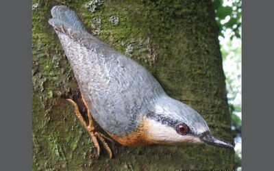 Sitta europaea