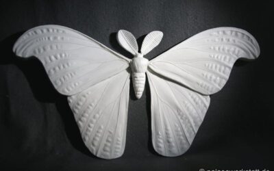 Atlasspinner (Attacus atlas) Schmetterling
