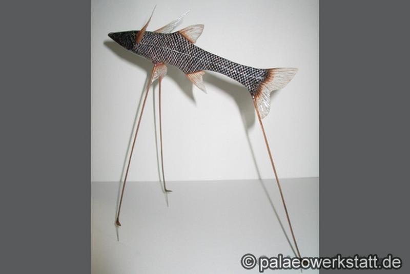 Bathypterois grallator