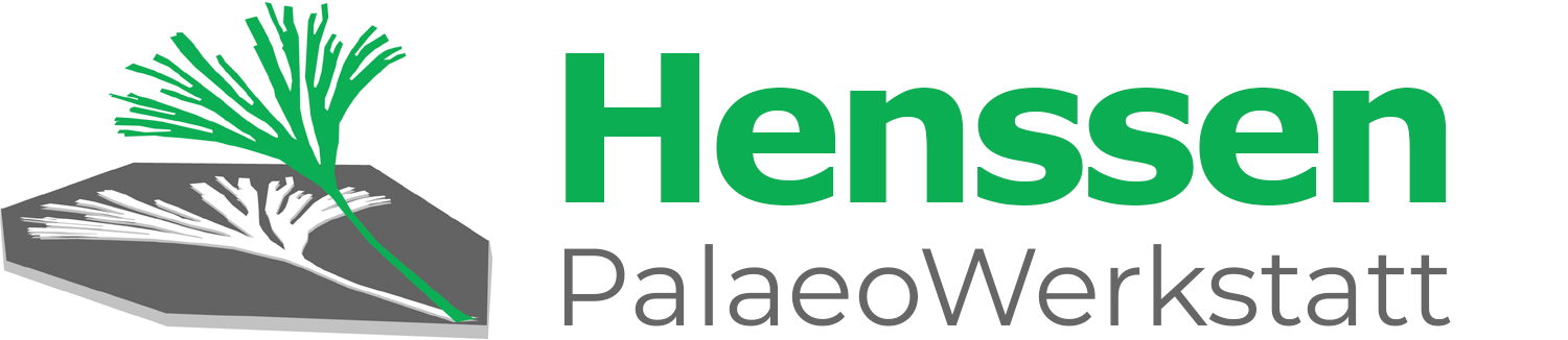 Henssen PalaeoWerkstatt