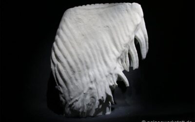 Mammut-Molar