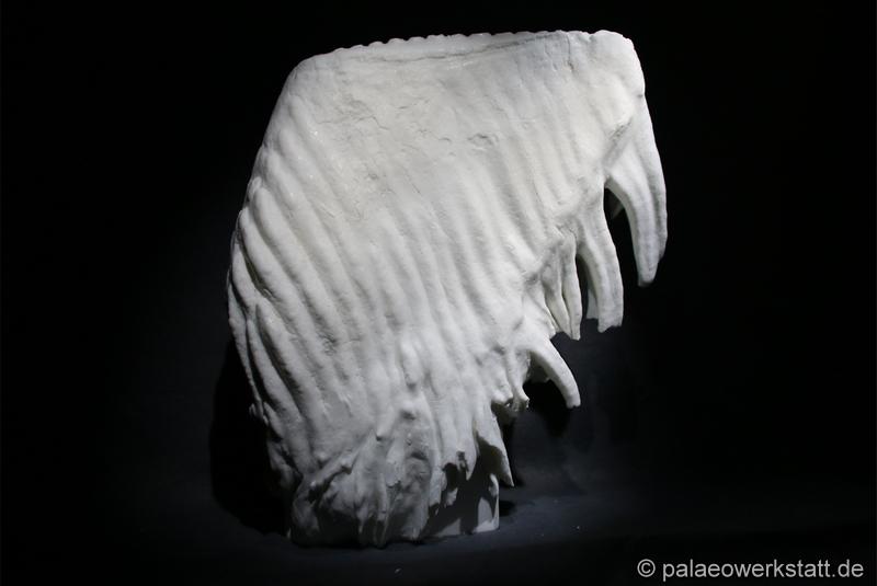 mammoth molar
