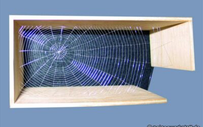 Spinnennetz