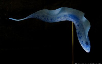 Trypanosoma brucei gambiense