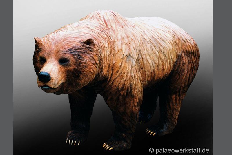 Ursus spelaeus