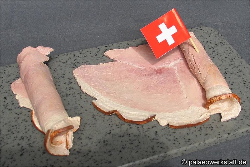 Gekochter Schinken